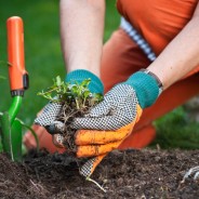 Improve The Curb Appeal Of Your Admirals Cove Home With Some Strategic Gardening!