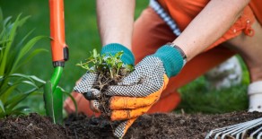 Improve The Curb Appeal Of Your Admirals Cove Home With Some Strategic Gardening!